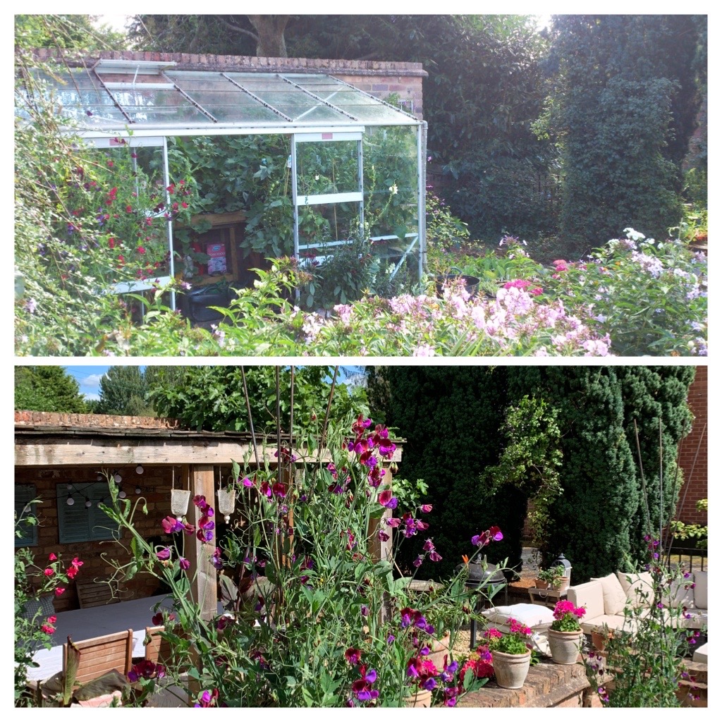 3191495B-4F72-4B16-AE63-7B358CE55DB6-COLLAGE